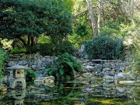 Uncover the history of this Japanese garden hidden in the heart of Austin - CultureMap Austin