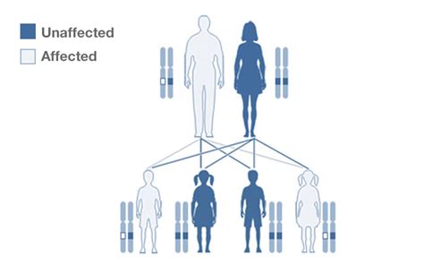 Gene Examples