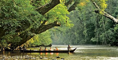 Taman Negara – tanjakadventuretour.com