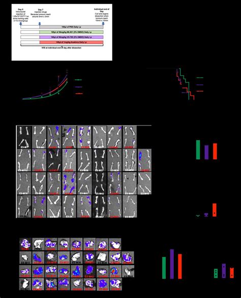 The effect of inhibiting signalling of the IL-1 pathway on growth of... | Download Scientific ...