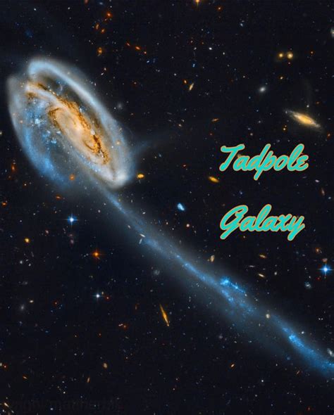 Tadpole Galaxy - THE WORLD ALOHA