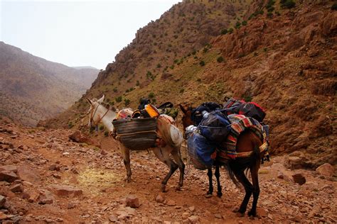 5 Hikes You Should Take in Morocco - MarocMama