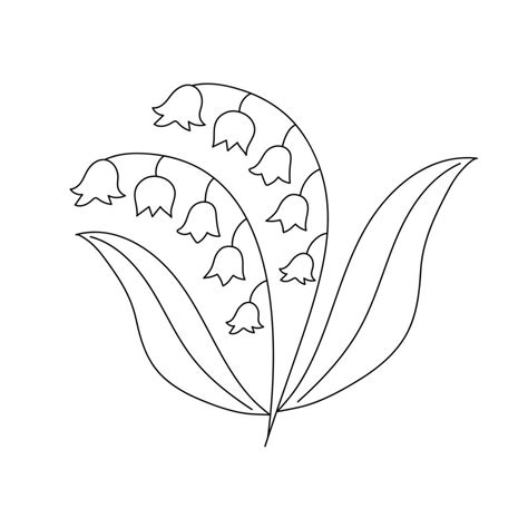 Hand drawn lily of the valley in line art doodle style. Botanical decorative element. 13324039 ...