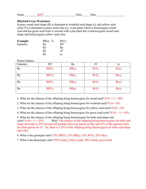 Dihybrid Cross Worksheets Answers