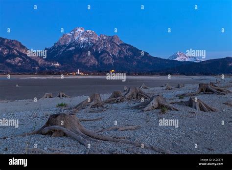 Tree stump in dry lake Forggensee after sunset with a view to Neuschwanstein castle Stock Photo ...