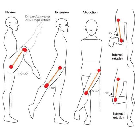 Shoulder Range Of Motion Chart Google Search Flexion Extension ...