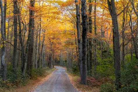 10 Colorful Spots to Visit in the Poconos for Fall Foliage - Uncovering PA