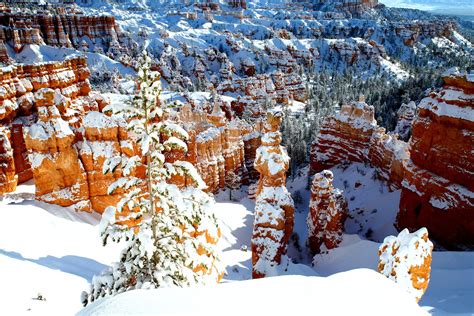 Unique ways to snowshoe in Bryce Canyon Country – Bryce Canyon Country