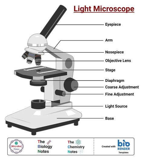 16 Types of Microscopes with Parts, Functions, Diagrams