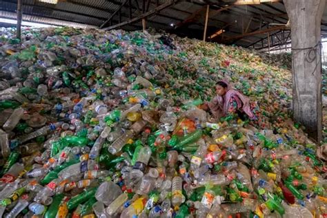 Ilmuwan Berhasil Daur Ulang Sampah Botol Plastik Menjadi Vanili - Akurat