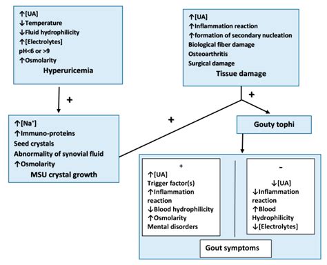 Why Does Hyperuricemia Not Necessarily Induce Gout?