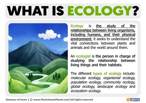 What is Ecology | Definition of Ecology