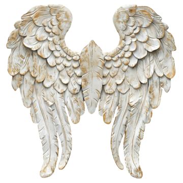 Beautiful Angel Wings Wall Art, Angel Wings, Art, Decor PNG Transparent ...