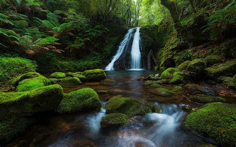 HD wallpaper: New England National Park Australia Rainforest Waterfall ...