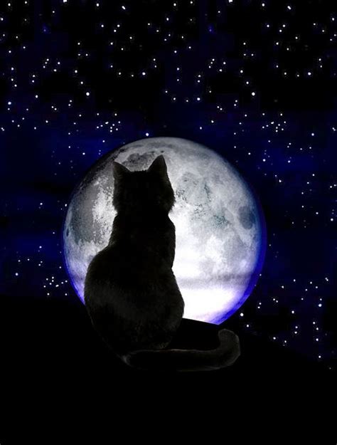 black cat moon | {Moonlight and Starry Skies} | Pinterest