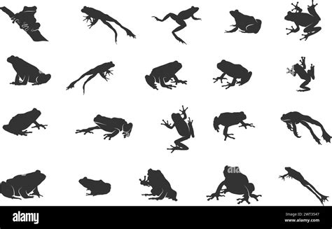 Frog silhouettes, Tree frog silhouette, Jumping frog, Jumping frog silhouette, Sitting frog ...