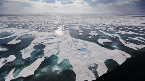 How loss of Arctic sea ice further fuels global warming | Fox News