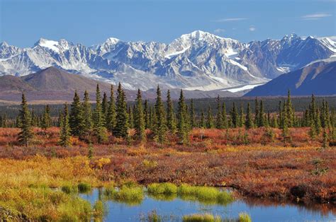 Denali Highway is one of America's most scenic drives. It runs from ...