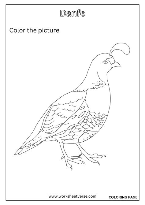 Coloring page of Danfe