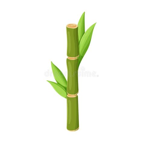 Stem Of Sugar Cane Vector Icon.Cartoon Vector Icon Isolated On White ...