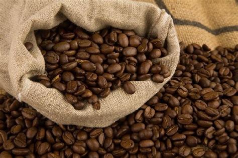 Arabica Coffee Beans Manufacturer & Exporters from Chikkamagaluru ...