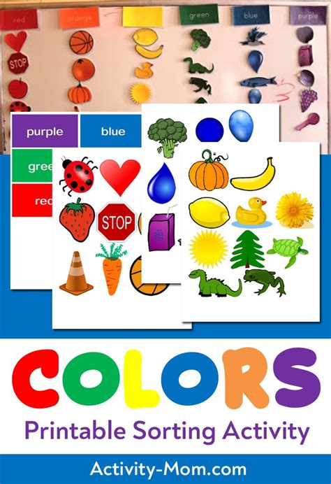 Color Sorting Worksheet