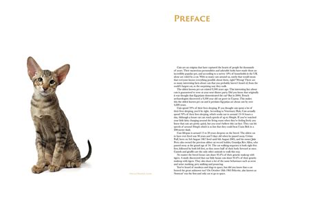 Cat Breeds :: Behance