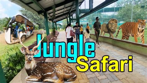 JUNGLE SAFARI - Sardar Patel Zoological Park 2024 | Statue of Unity ...