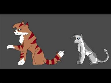 Rowanclaw and Tawnypelt preview - YouTube