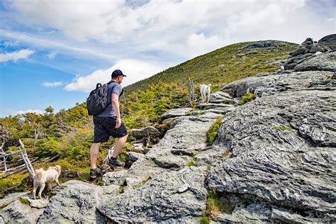 14 Top Hiking Trails in Vermont | PlanetWare