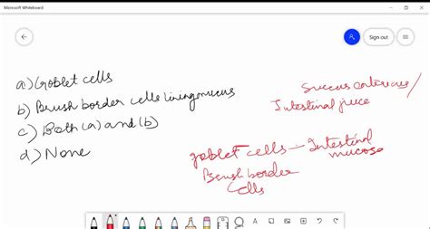 ⏩SOLVED:Intestinal juice or succus entericus is formed by the… | Numerade