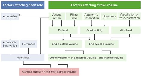 Cardiac Output Diagram