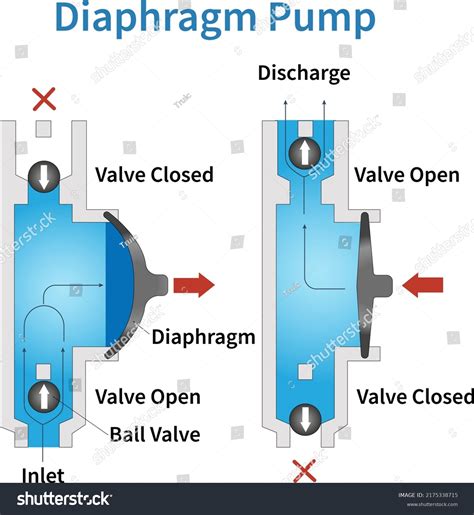 Double Diaphragm Positive Displacement Pump Which Stock Vector (Royalty Free) 2175338715 ...