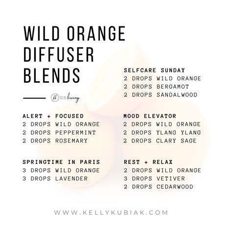 Wild Orange Essential Oil Diffuser Blends | Essential oil diffuser ...