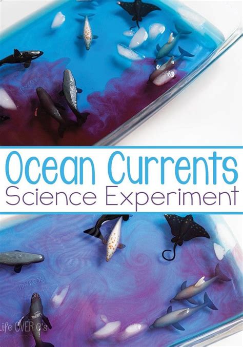 Ocean Currents Science Experiment - Life Over C's | Science experiments ...