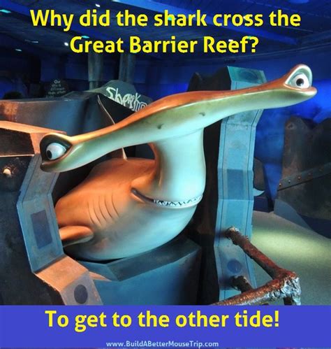 51 best Shark jokes images on Pinterest | Ha ha, Funny stuff and Sharks