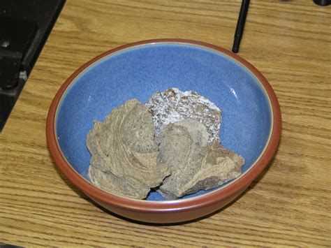 Ambergris | Uses in Perfumery, Medicinal Properties & Chemical ...