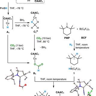 Tandem copper hydride–Lewis pair catalysed reduction of carbon dioxide into formate with ...