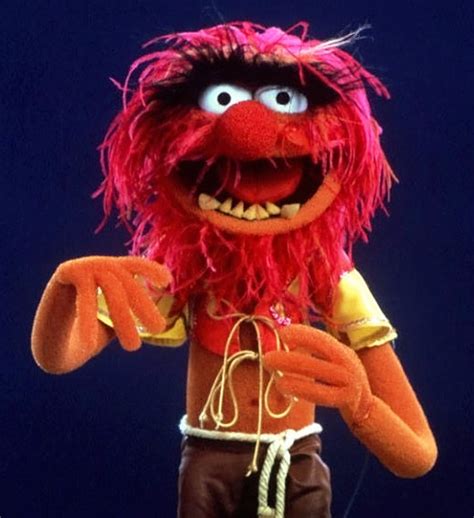 Animal - Muppet Wiki