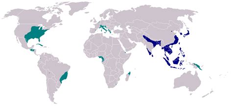 The painful, mosquito-borne chikungunya virus has reached the US - Vox