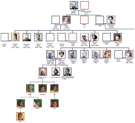 Estes - Stark Collection - Stark Family Tree