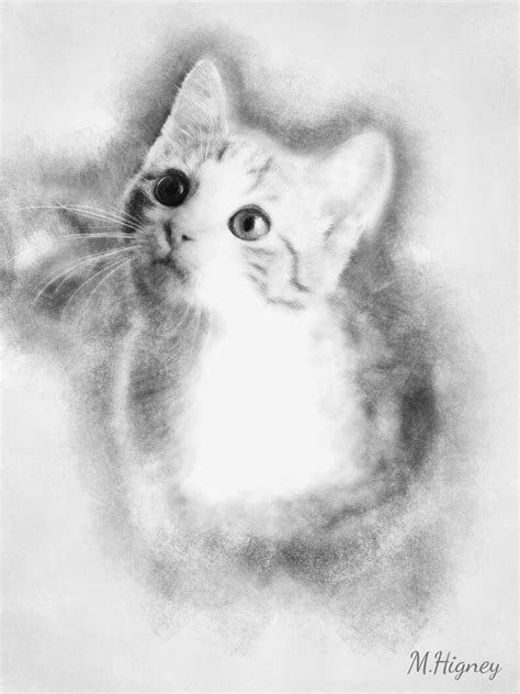 Custom Pet Pencil Sketch Portrait From Photo Pet Portrait - Etsy