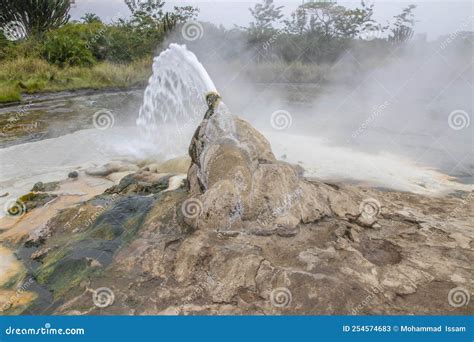 Semuliki National Park in Fort Portal in Uganda Stock Image - Image of ...