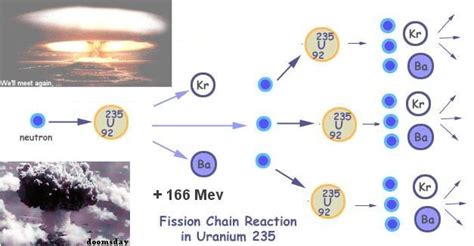 Uranium 236 Decay Equation - Tessshebaylo