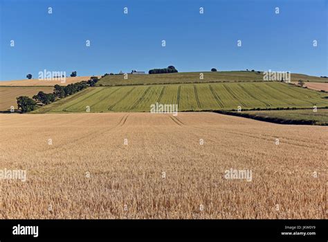 The site of the Battle of Flodden Field viewed from The Flodden ...