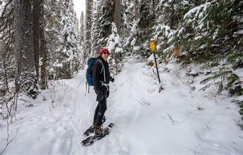 A Guide to Yoho National Park in Winter | Hike Bike Travel