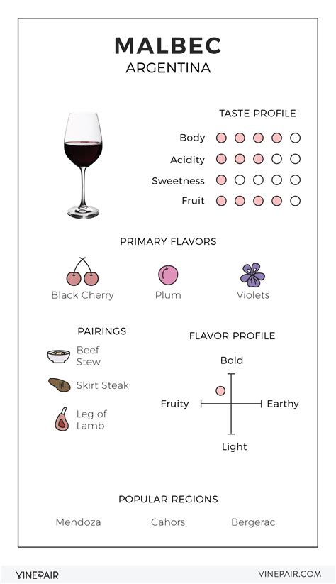 An Illustrated Guide to Argentinian Malbec | Malbec, Wine, Wine tasting