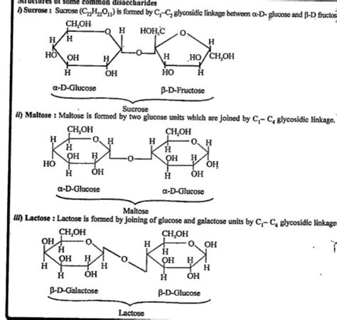 [Punjabi] What do you understand by the glycosidic linkage