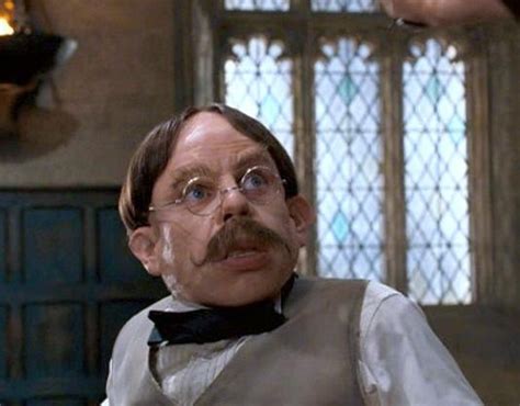 Professor Flitwick - Filius Flitwick Photo (24682701) - Fanpop