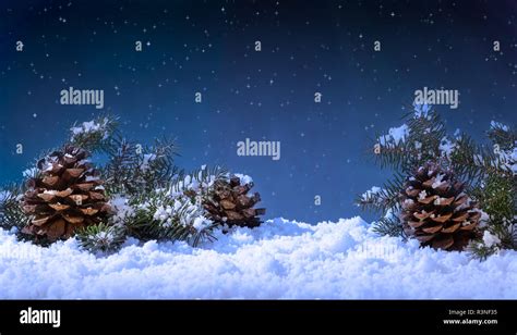 Holiday winter night scene with pine cones and evergreen tree branches ...